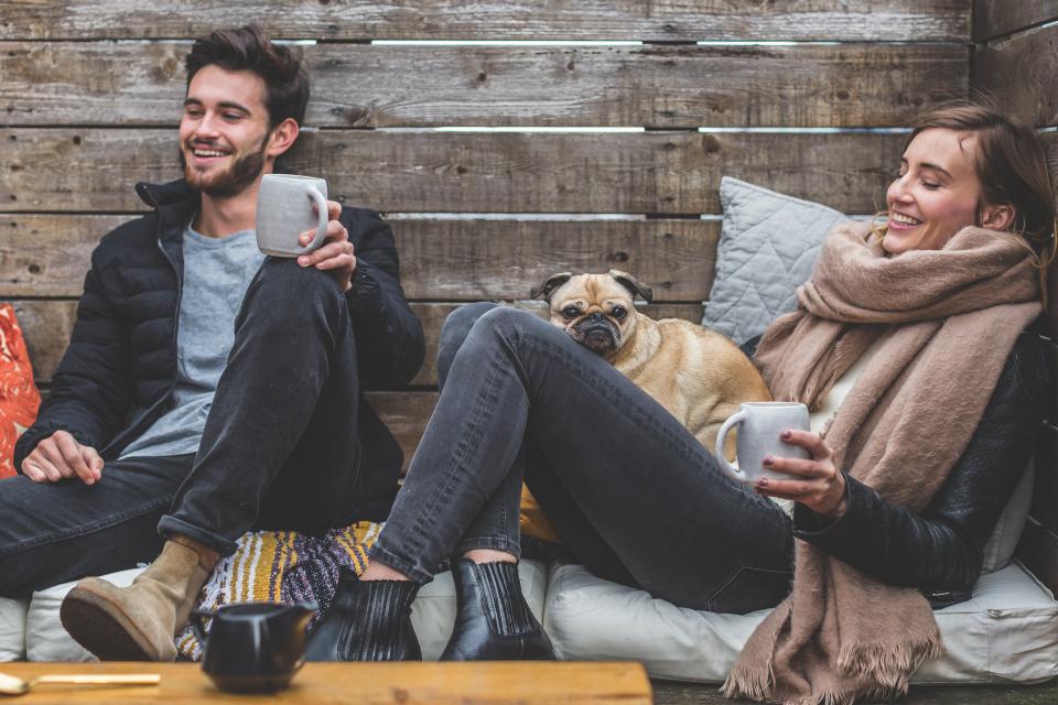 Finding Fido’s Home Away From Home: How to Select the Perfect Dog Boarding Facility